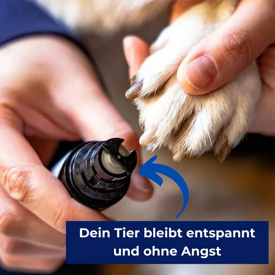 So wird dein Bauch endlich wieder glücklich